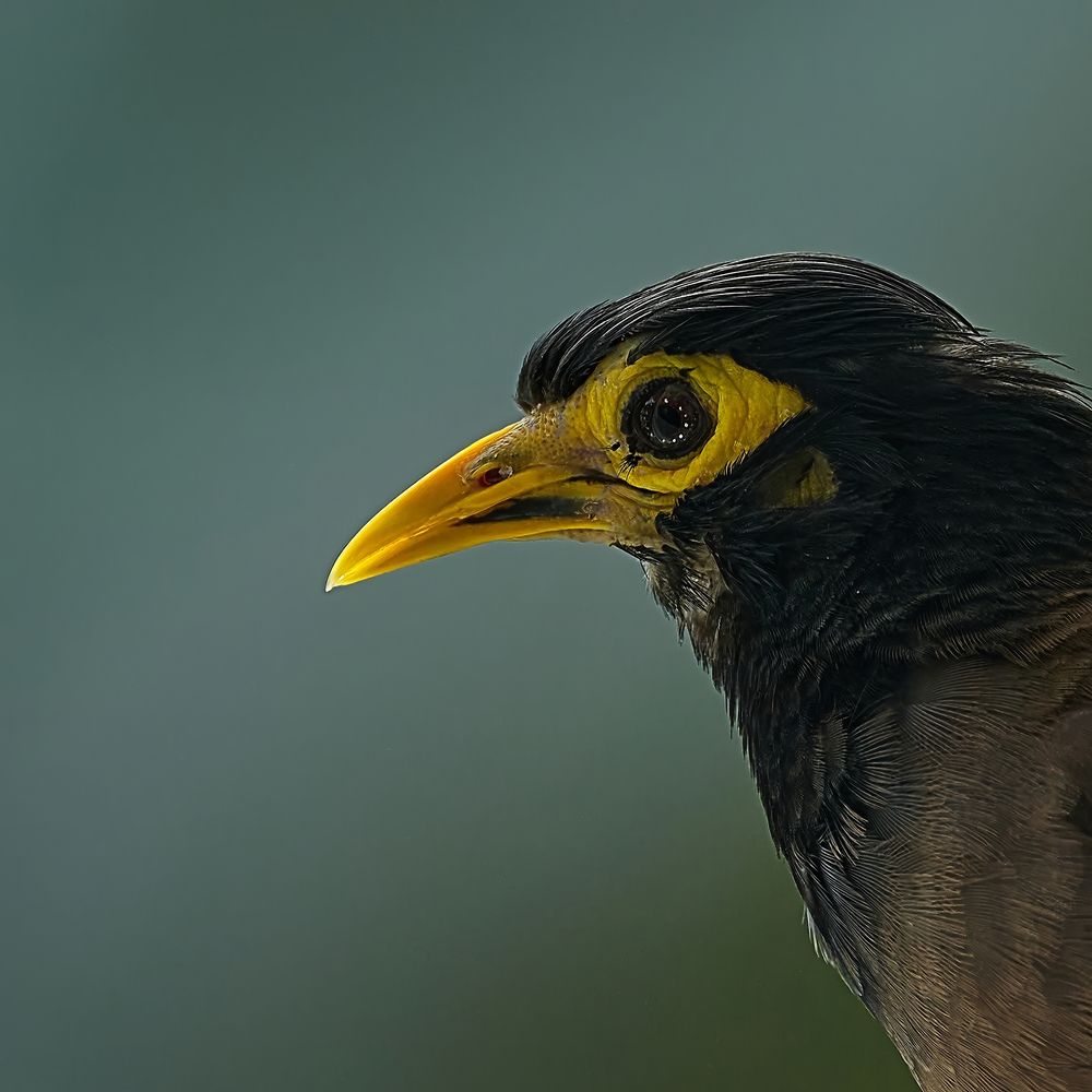 Photograph by Дмитрий Емельянов