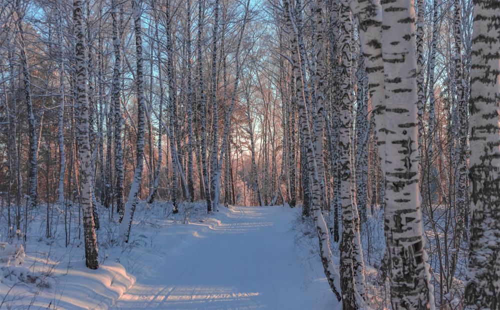 Photograph by Пушкин Сергей