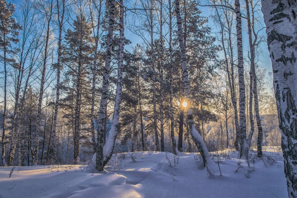 Photograph by Пушкин Сергей