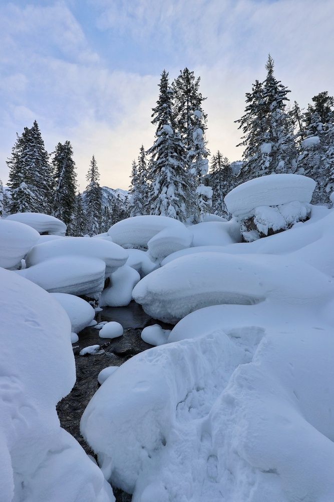 Фотография автора Кощеева Марина