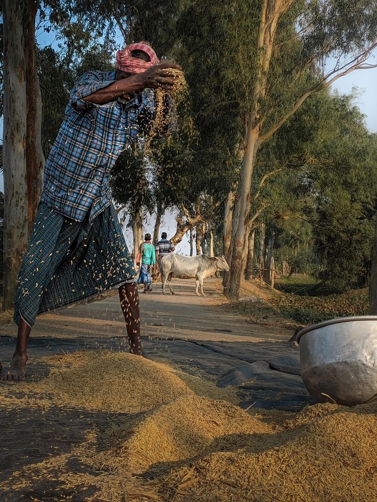 Photograph by Trishik Bose