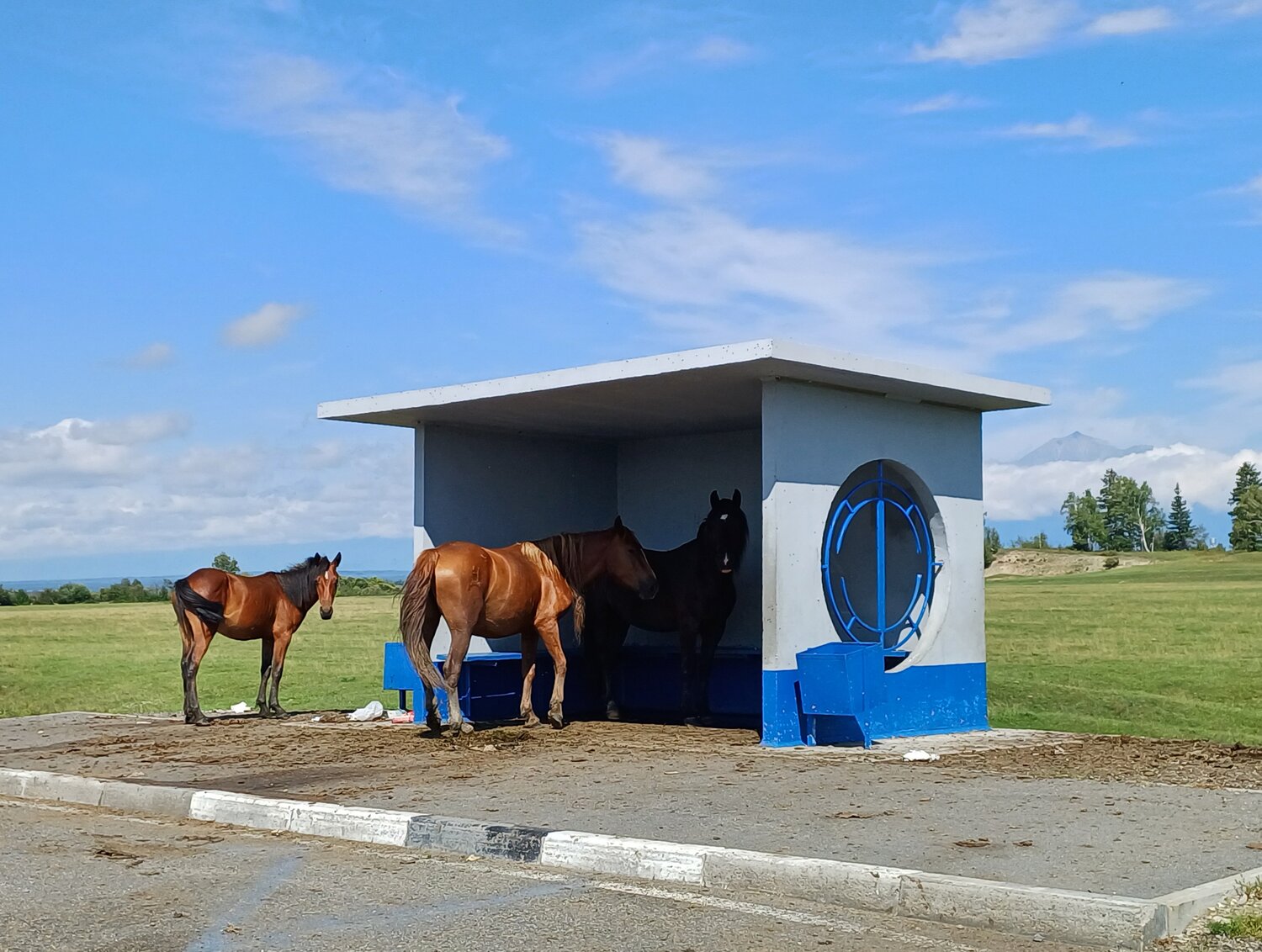 Монголия. Жара