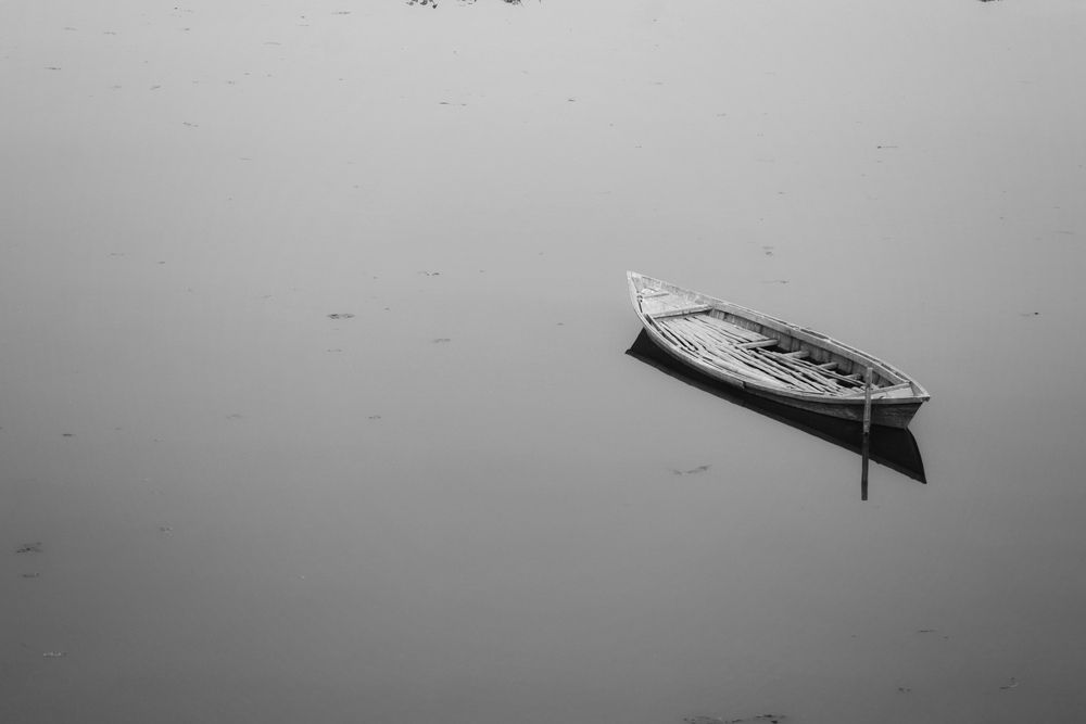 Photograph by Washiful Majid