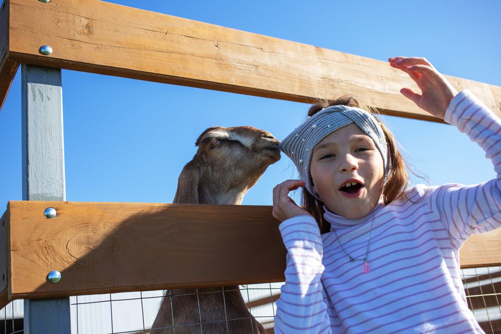 Photograph by Алексей Тихонов