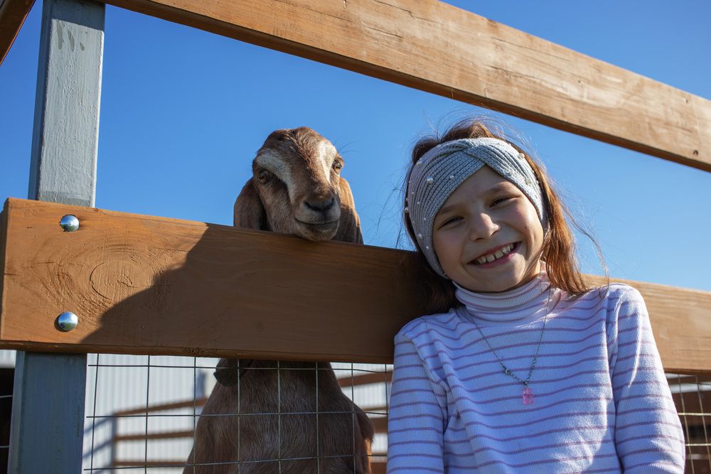 Photograph by Алексей Тихонов