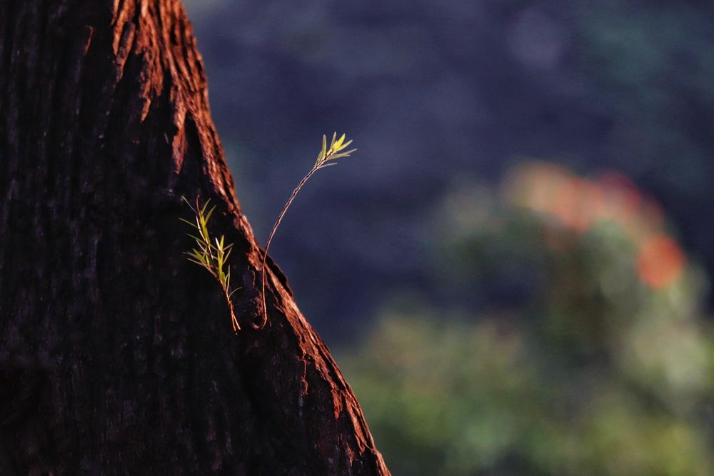 Photograph by Washiful Majid