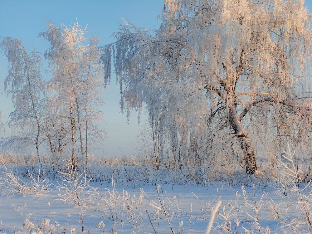 Photograph by Кондрашова Светлана
