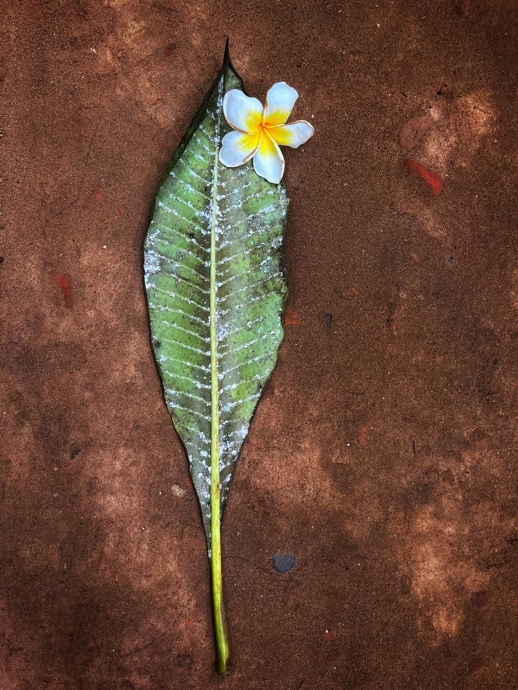 Photograph by Washiful Majid