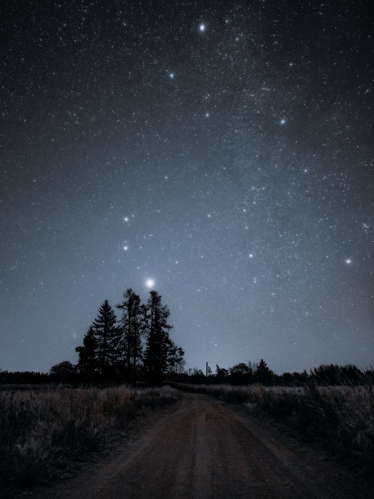 Photograph by Ольга Леонова