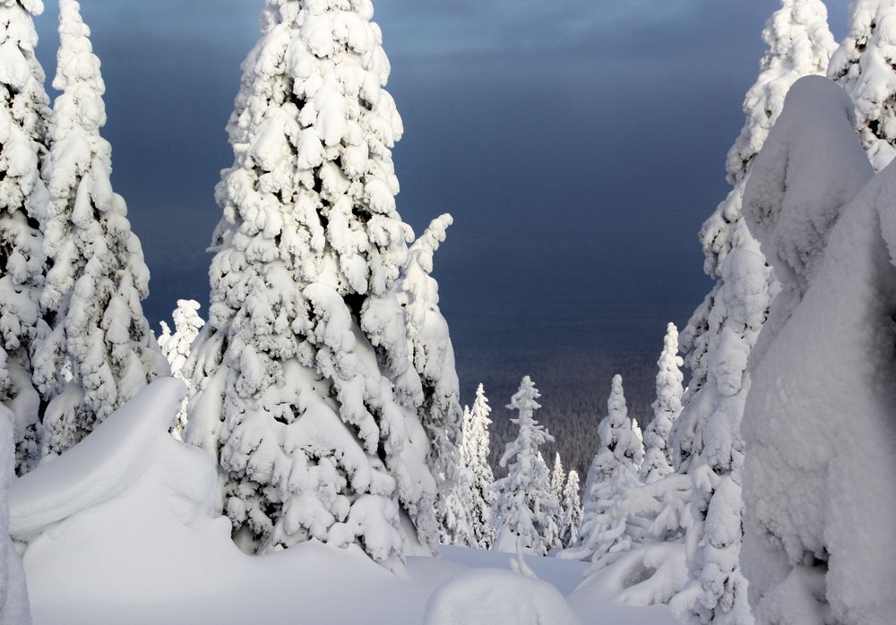 Фотография автора Olga Mamadzanova