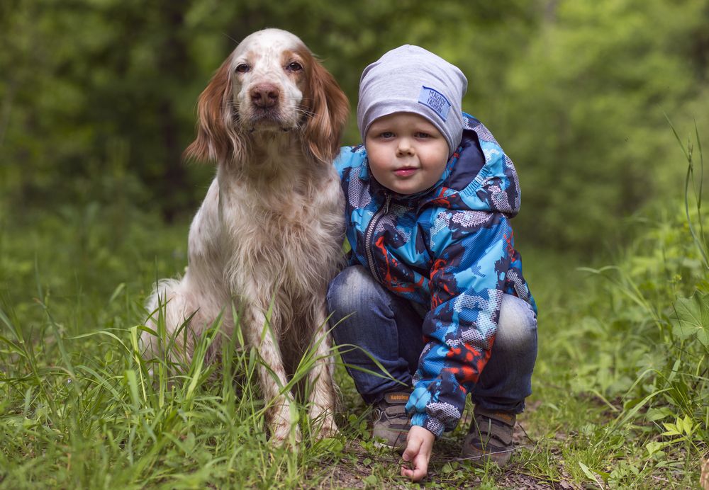 Photograph by Александр Чибиркин