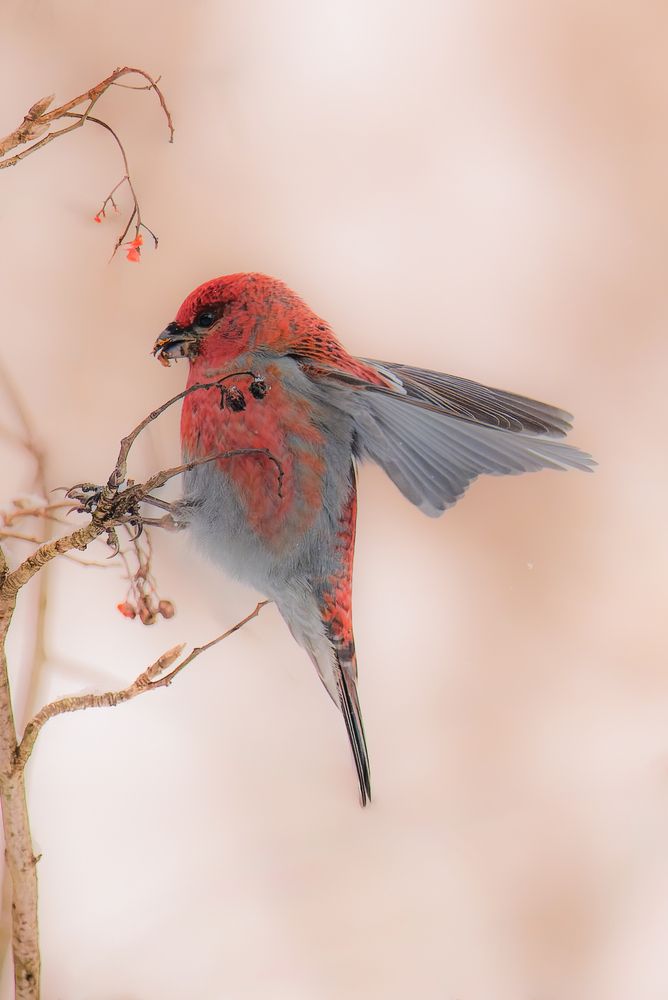 Photograph by Сергей Немцев