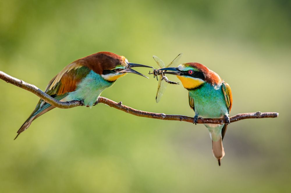 Photograph by Евгений Бочкарев