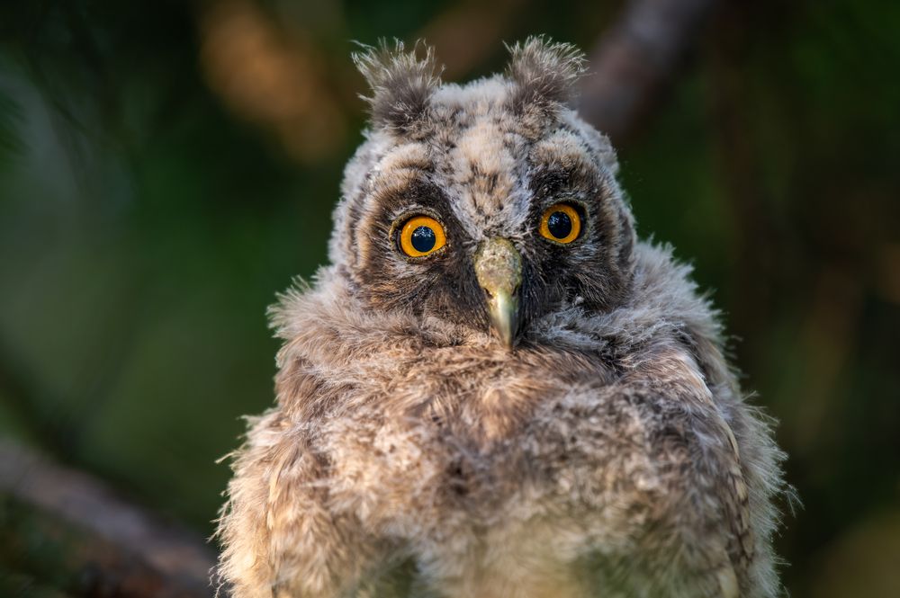 Photograph by Евгений Бочкарев