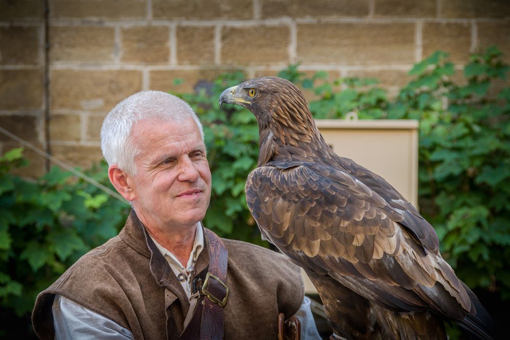 Photograph by Алексей Козлов