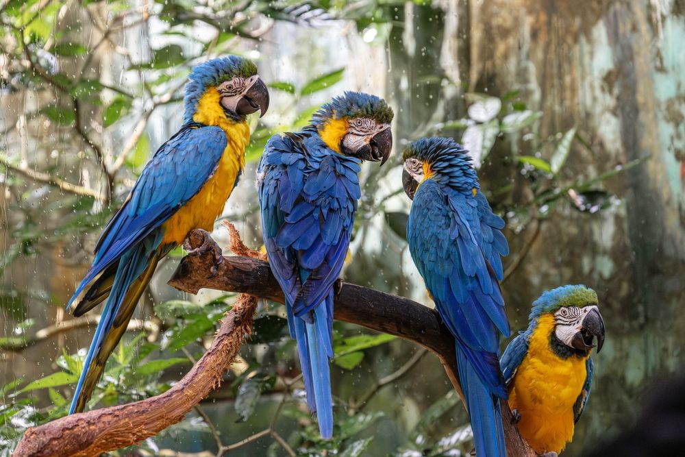 Photograph by Анна Васильева