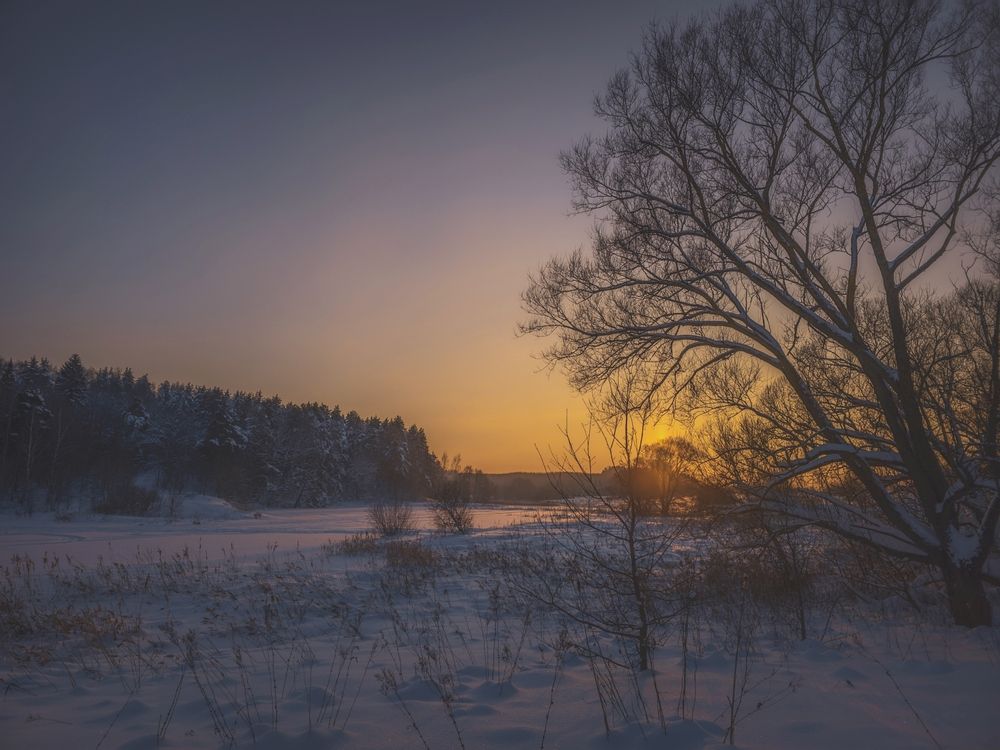 Photograph by Кирилл Сидоров