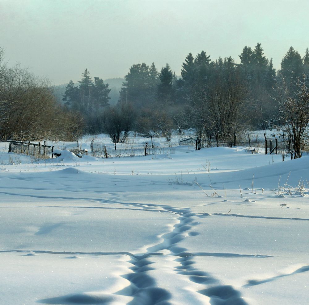 За огородом