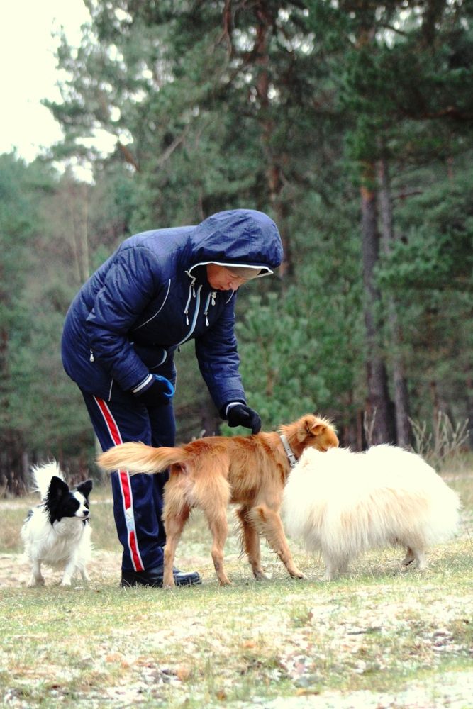 Photograph by Алексей Макаров