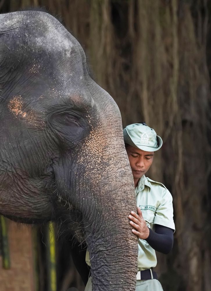 Photograph by Raed Victor Saad