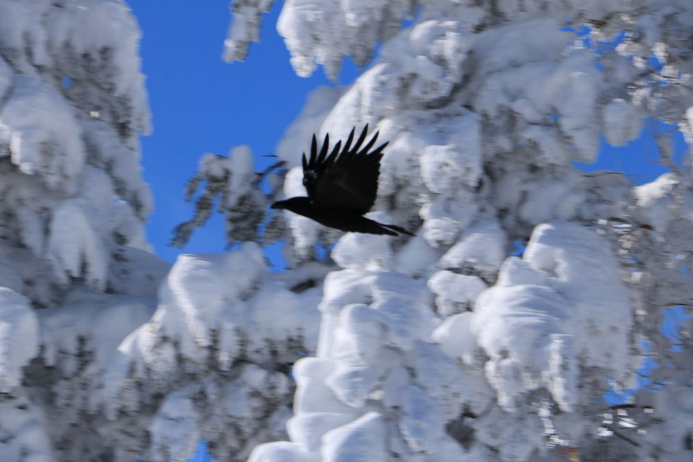 Photograph by Cengiz Yalcin