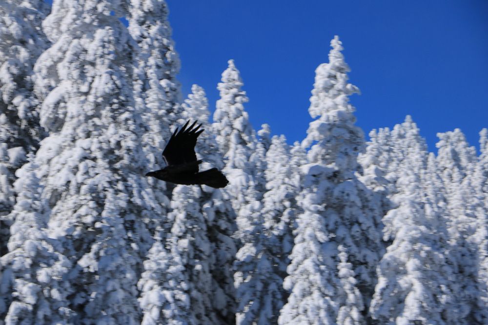 Photograph by Cengiz Yalcin