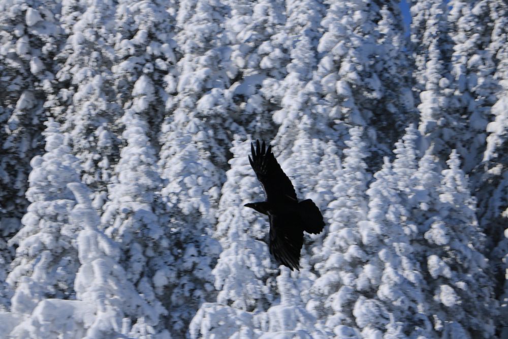 Photograph by Cengiz Yalcin