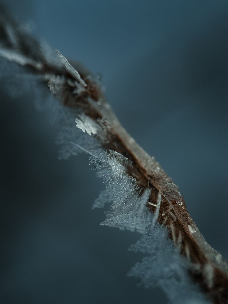 Photograph by Ляйсан Саляхиева