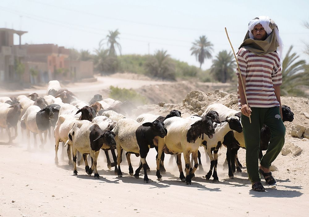 Photograph by Raed Victor Saad