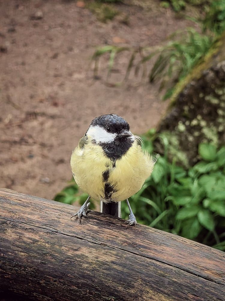 Photograph by Мария Филиппова