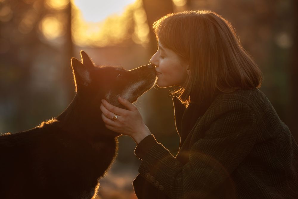 Photograph by Зубкова Юлия