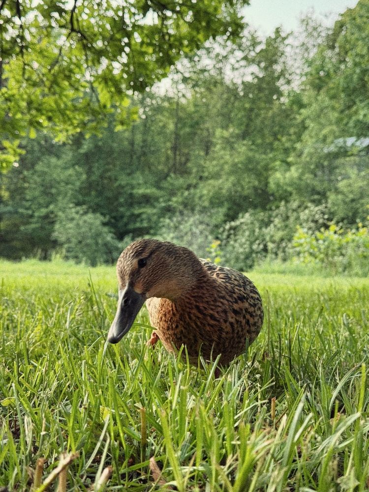 Photograph by Алена Тутыхина