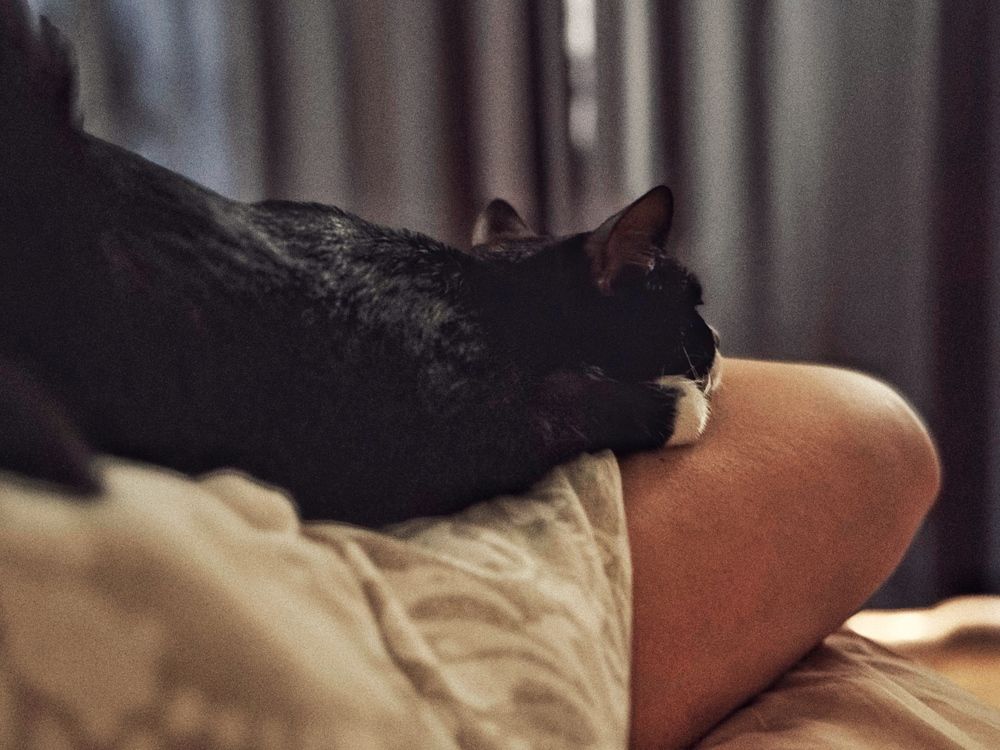 Photograph by Алена Тутыхина