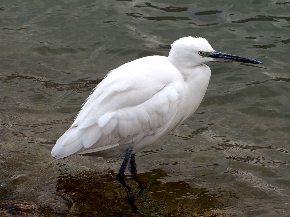 Photograph by Abdolreza Aleagha