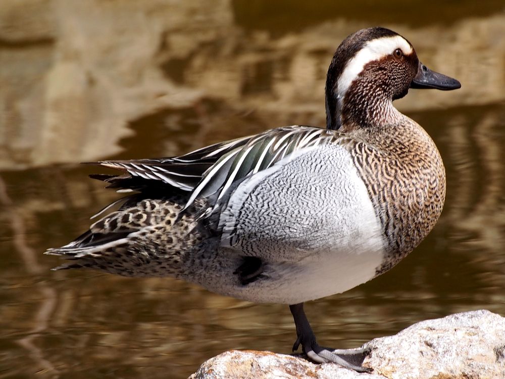 Photograph by Abdolreza Aleagha