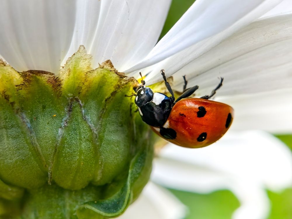 Photograph by Edgars Kublins
