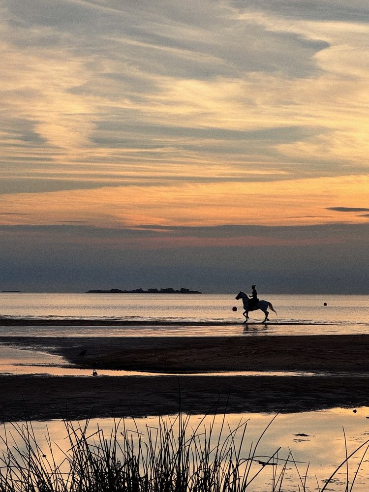 Photograph by Алена Тутыхина