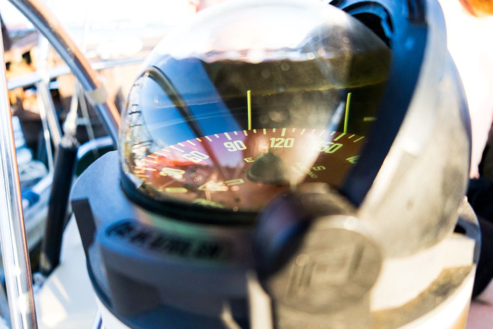 Photograph by Роман Саламатин