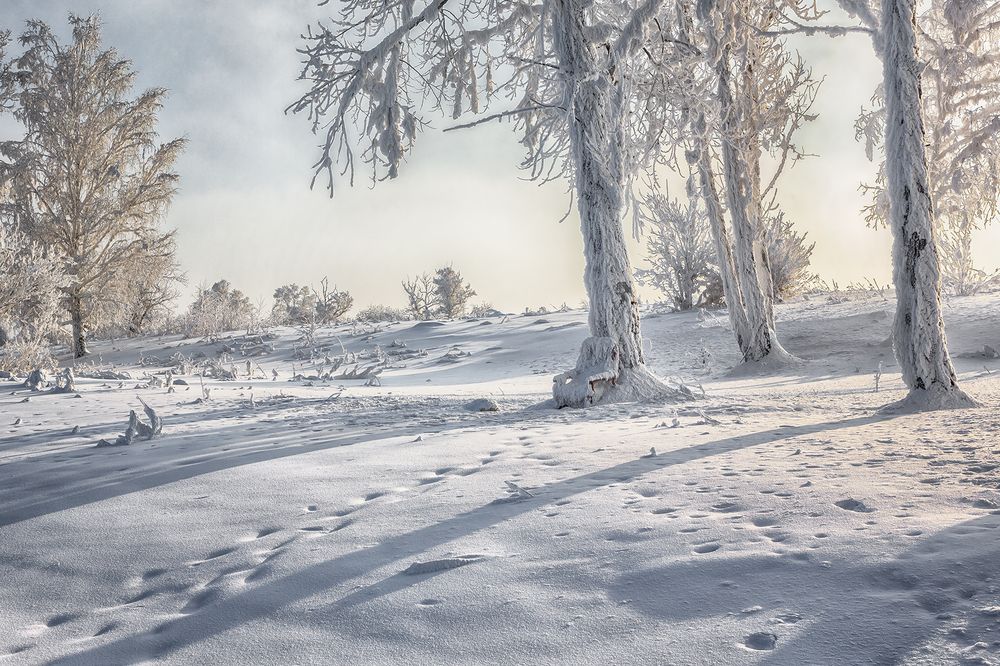 Фотография автора Олег Тетерин
