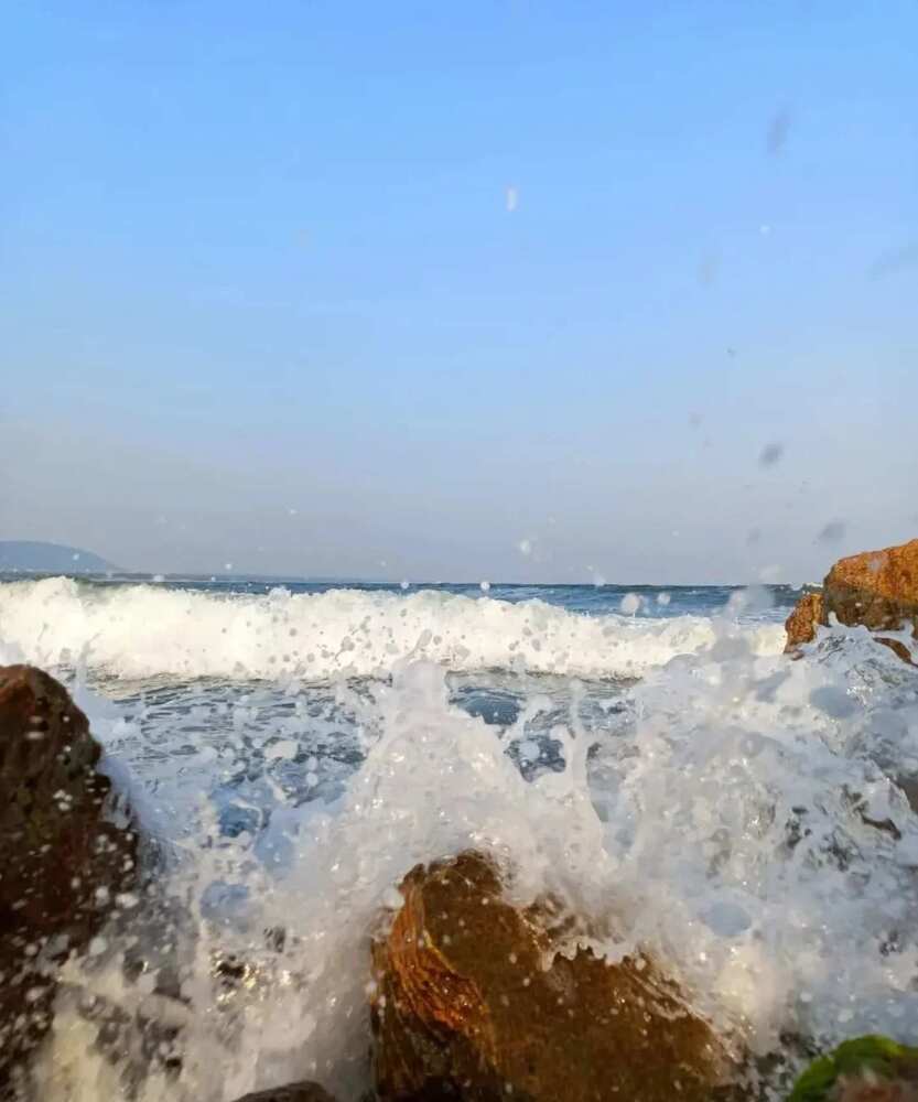 Photograph by Bhargav Pinapatruni