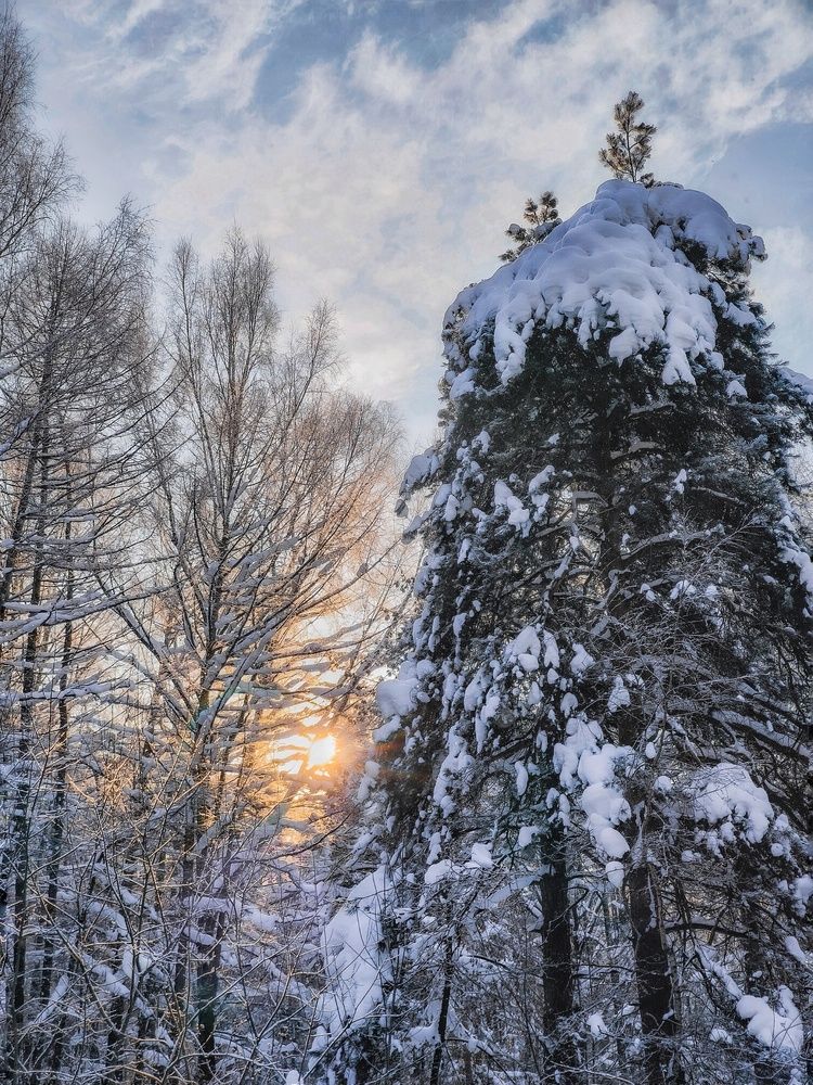 Фотография автора Олеся Хижко