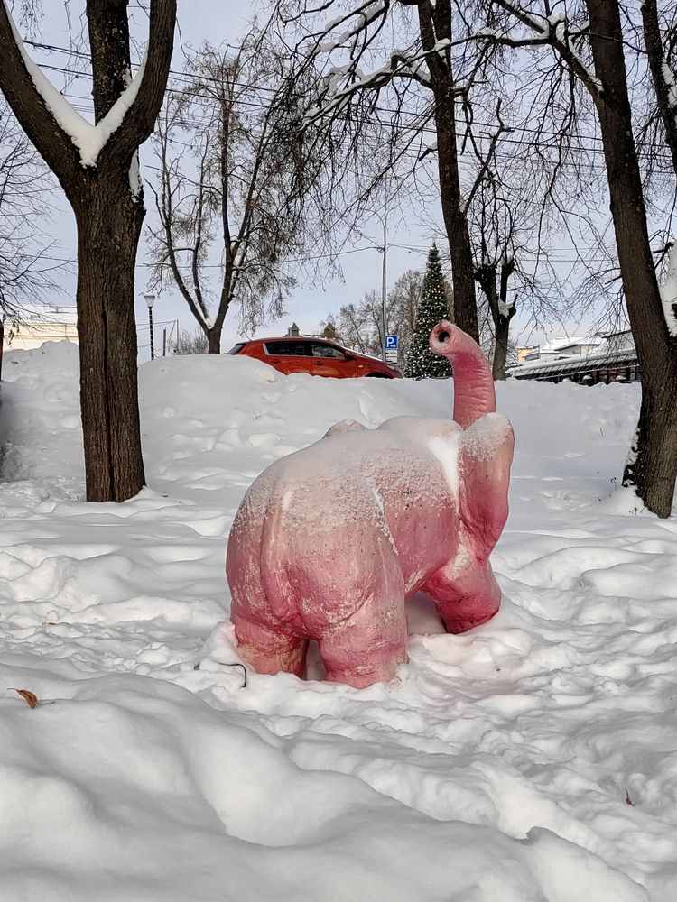 Photograph by Михаил Янкин