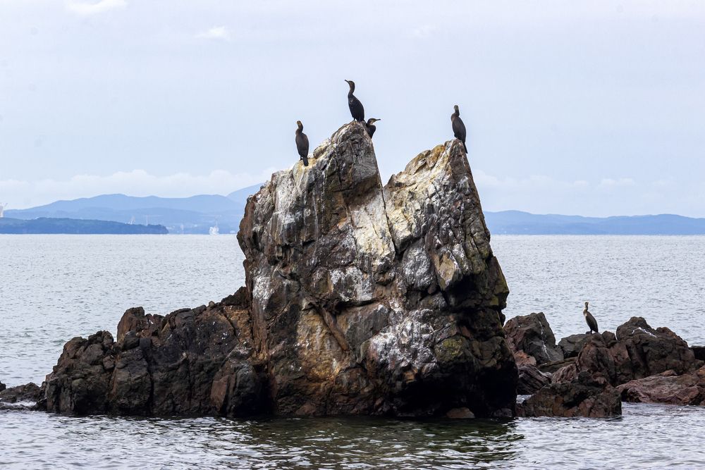 Photograph by Sergey Tsubanov