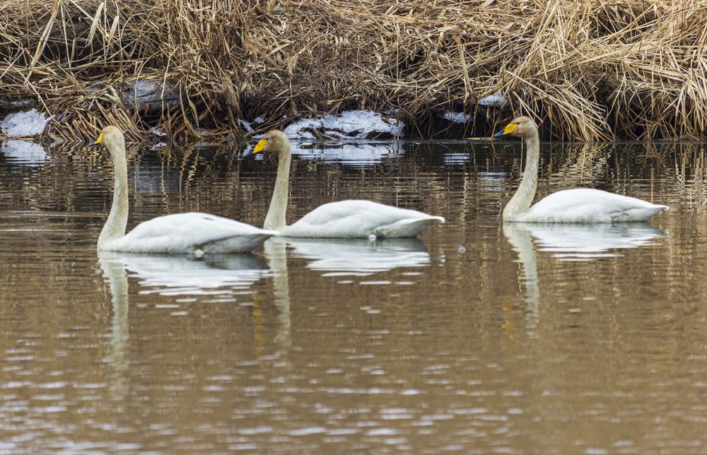Photograph by Sergey Tsubanov