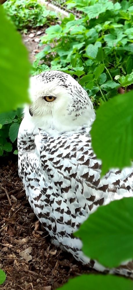 Photograph by Наталия Колесникова