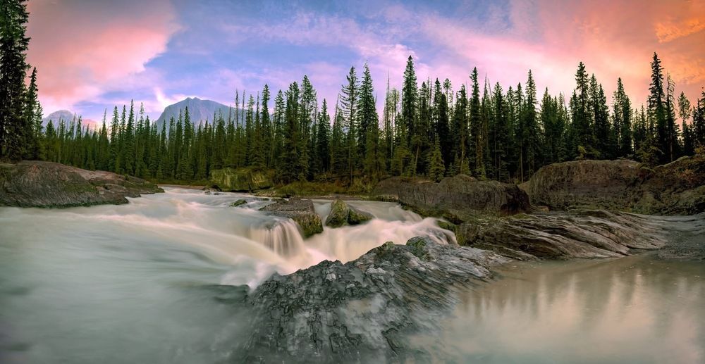 Photograph by wendy klein