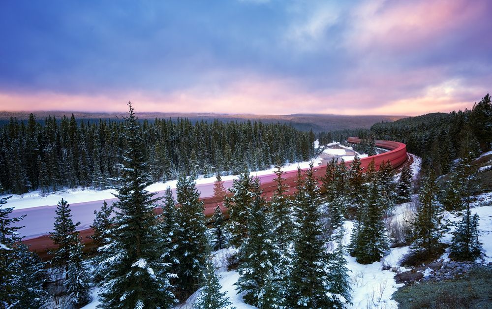 Photograph by wendy klein