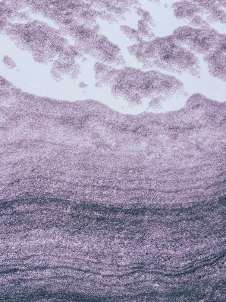 Photograph by Ekaterina Slepneva