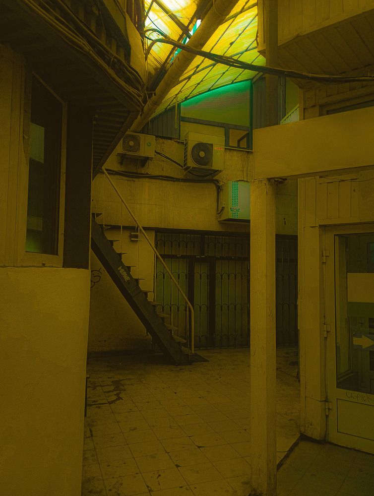 Photograph by Дарья