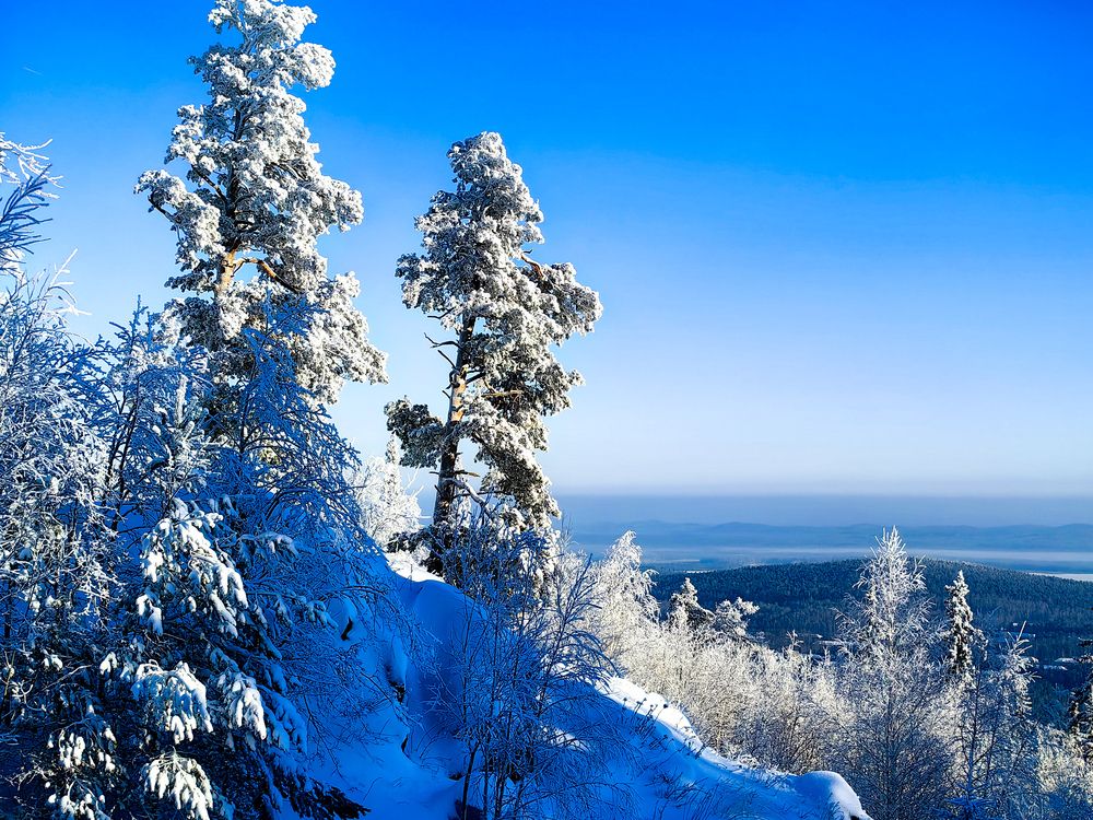 Фотография автора Наталия Космынина